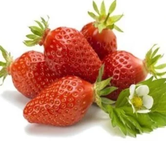 Fraises_1Kg