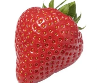 Fraises_1Kg