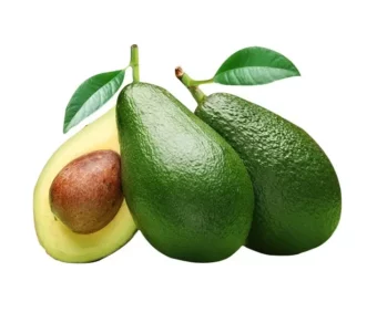 Avocat_1Kg
