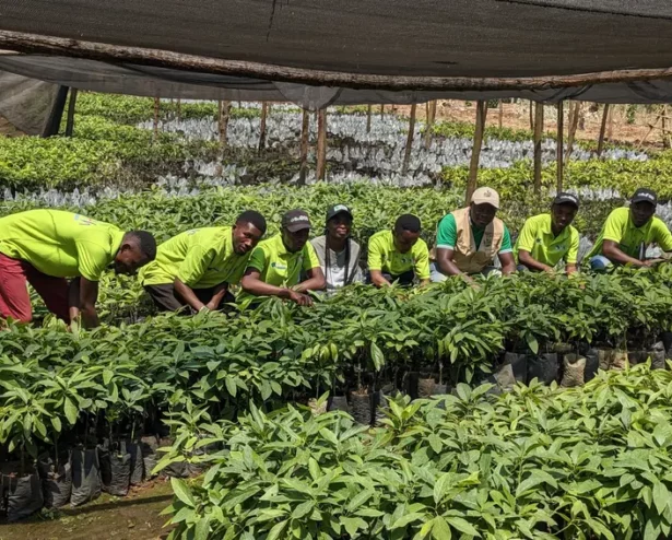 PXL_20230824_110754660 PXL_20230824_110754660