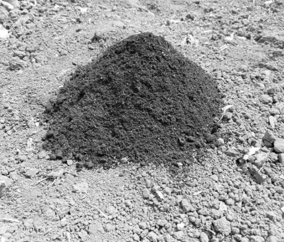 Biochar stock Biochar stock