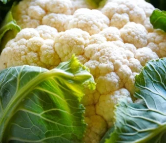 Chou fleur_1Kg