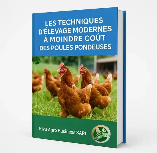 Les techniques d’élevage des poules pondeuses