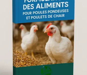 Formulation des aliments pour les poules