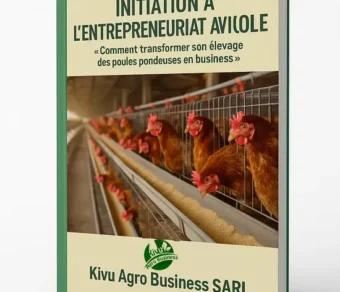 Initiation à l’entrepreneuriat avicole
