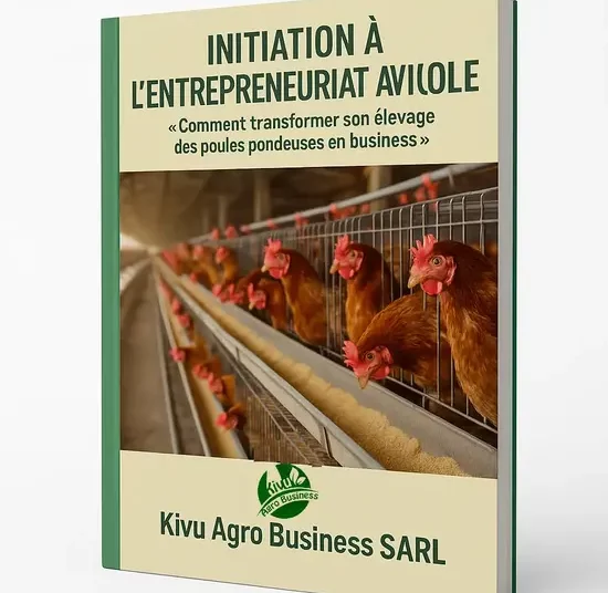 Initiation à l’entrepreneuriat avicole