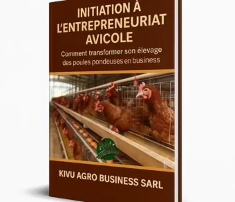 Initiation à l’entrepreneuriat avicole
