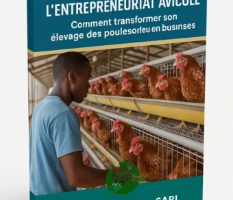 Initiation à l’entrepreneuriat avicole