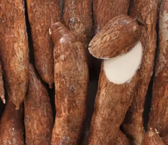 Manioc doux_1Kg