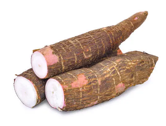 Manioc doux_1Kg