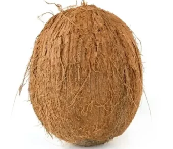 Noix de coco_1Kg