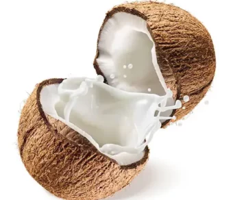 Noix de coco_1Kg