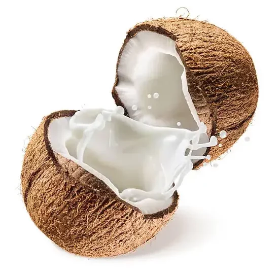 Noix de coco_1Kg