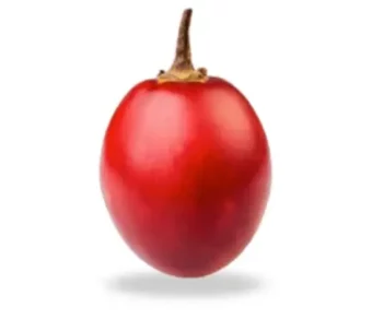 Tamarillo_1Kg