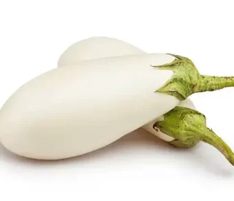 Aubergine locale_1Kg