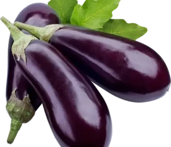 Aubergines violettes_1Kg