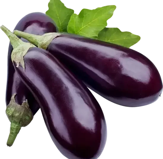 Aubergines violettes_1Kg