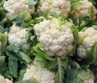 Chou fleur_1Kg