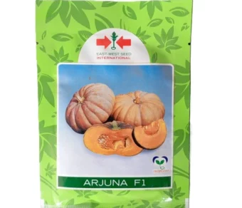 Citrouille : Arjuna F1_10gr