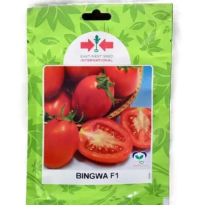 Tomate : Bingwa F1_100 Graines