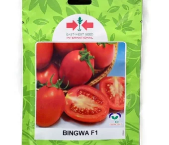 Tomate : Bingwa F1_100 Graines