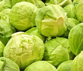 Choux frais_1Kg
