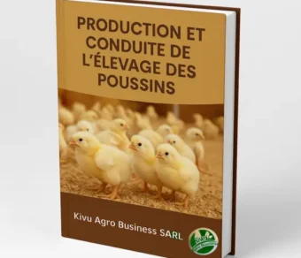 Production et Elevage des Poussins