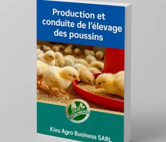 Production et Elevage des Poussins