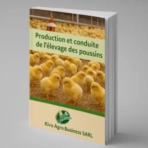 Production et Elevage des Poussins