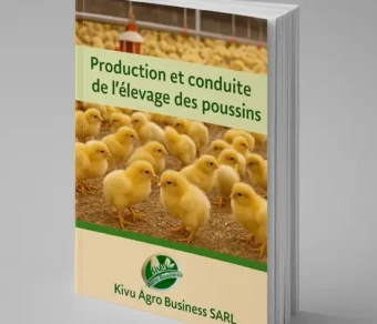 Production et Elevage des Poussins