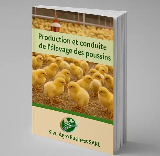Production et Elevage des Poussins