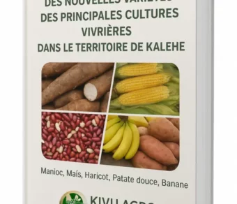 Evaluation de l’adoption des nouvelles variétés de principales cultures vivrières