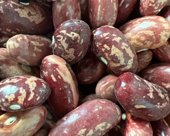 Haricot : HM 21-7_1Kg