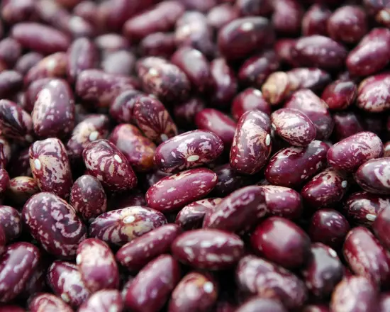 Haricot : HM 21-7_1Kg