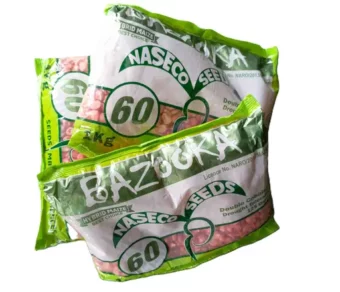 Maïs : Bazooka_1Kg