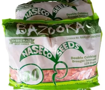 Maïs : Bazooka_1Kg