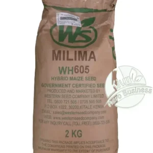 Maïs : WH605 (Milima)_1Kg