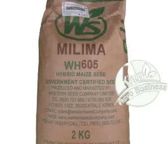 Maïs : WH605 (Milima)_1Kg