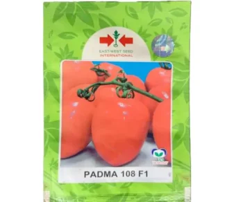 Tomate : Padma 108 F1_100 Graines