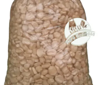 Maïs : Apska/Tokachini (ZM 625) _1Kg