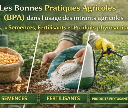 BPA Affiche 2 corrt