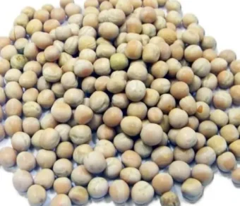 Petit pois_1Kg