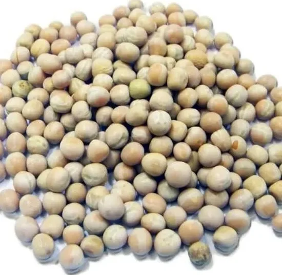 Petit pois_1Kg