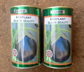 Aubergine "Black Beauty"_50gr
