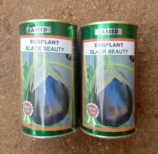 Aubergine "Black Beauty"_50gr