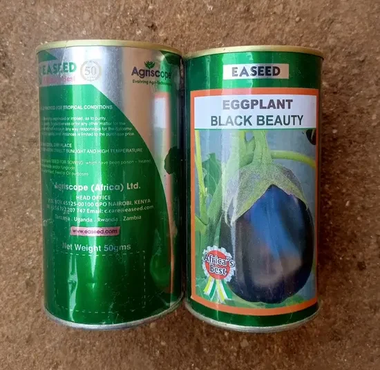 Aubergine "Black Beauty"_50gr