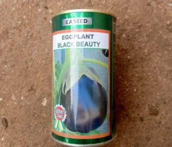 Aubergine "Black Beauty"_50gr