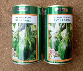 Aubergine "Entula green"_50gr