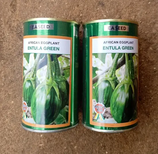 Aubergine "Entula green"_50gr