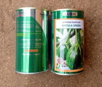 Aubergine "Entula green"_50gr
